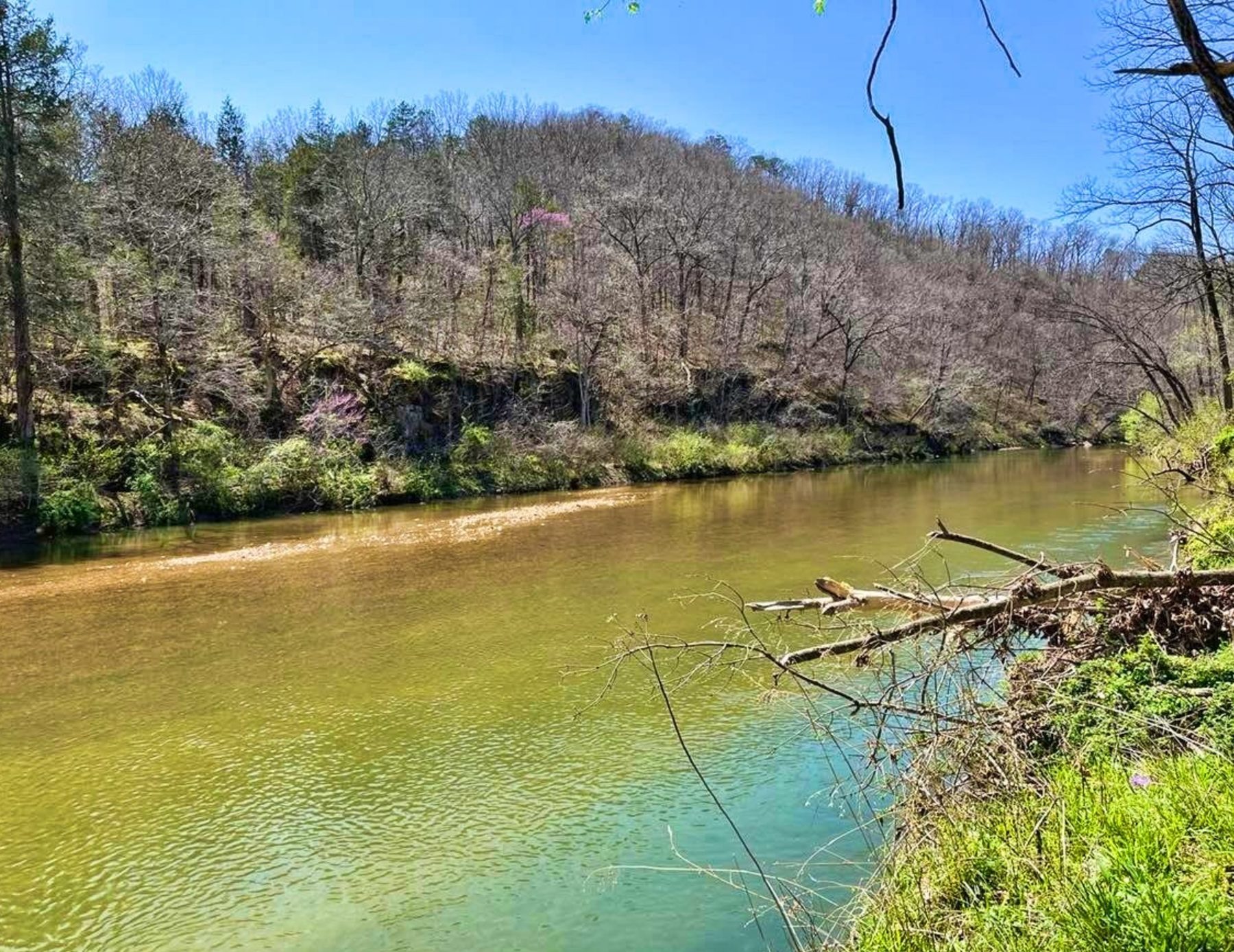 Clear water on Spring Creek