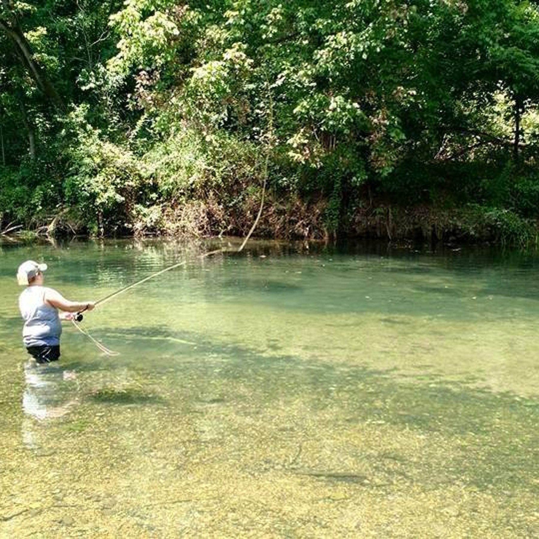 Rainbow Trout Fishing at Rockbridge